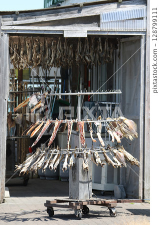 旋轉式魚乾生產機 電動魚乾生產機 魚乾 隔夜烘乾 128799111