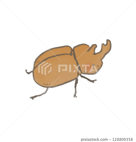 可愛的甲蟲插圖 可愛的甲蟲插圖 128800358