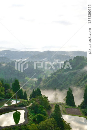 Morning rice terraces at Yamakoshi Ipponsugi (Niigata Prefecture) Morning rice terraces at Yamakoshi Ipponsugi (Niigata Prefecture) 128800633