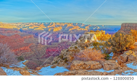 Wide Grand Canyon panorama with snowy rim 128800850