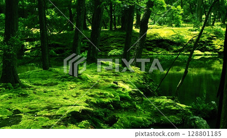 西芳寺 - 苔蘚寺廟風景 128801185