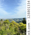 scenery  128801334