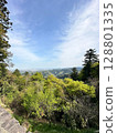 View from the top of the mountain 128801335