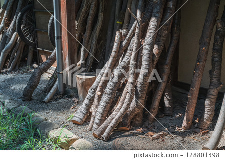Cut-off cherry tree 128801398