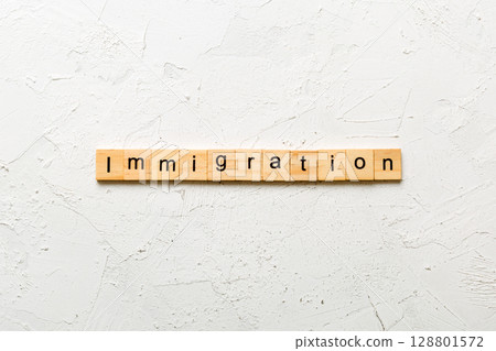 immigration word written on wood block. immigration text on table, concept 128801572
