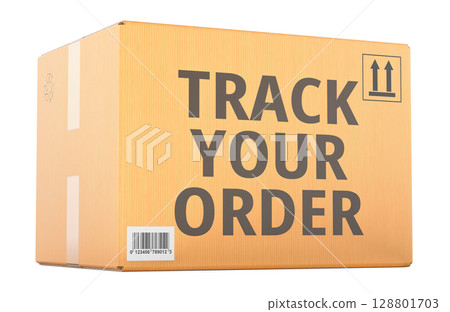 Track Your Order concept with cardboard box. 3D rendering Track Your Order concept with cardboard box. 3D rendering 128801703