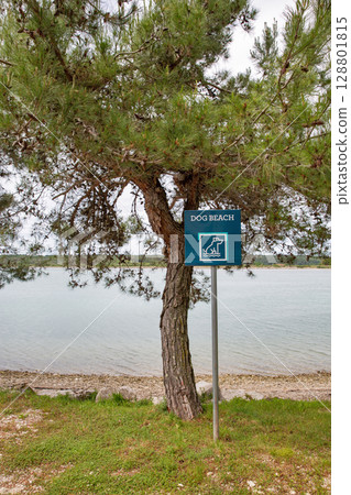Dog beach sign under pine tree by calm waters. Dog beach sign under pine tree by calm waters. 128801815
