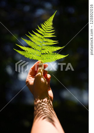 Girl holding young green fern leaf in bright sun 128802016