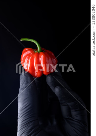 Single red habanero pepper in hand in a black protective glove 128802046