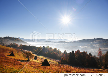 Sunrise lights orange woods and foggy field with haystacks Sunrise lights orange woods and foggy field with haystacks 128802052