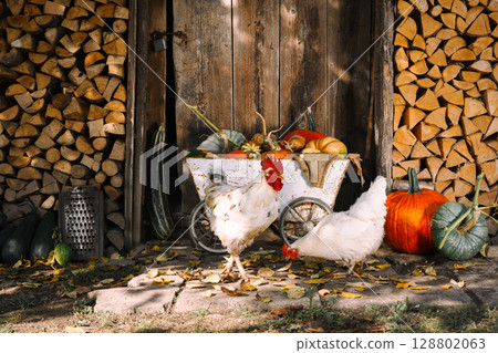 Vintage metal cart holds pumpkin assortment near old wooden barn Vintage metal cart holds pumpkin assortment near old wooden barn 128802063