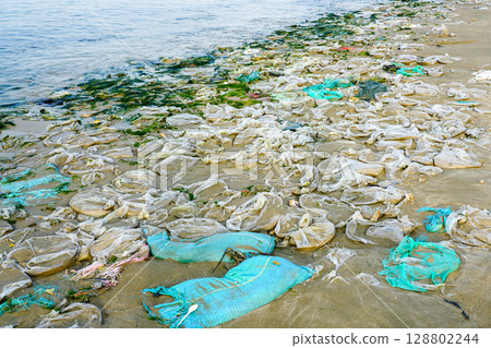 An ocean beach littered with plastic waste and bags, Mui Ne, Vietnam An ocean beach littered with plastic waste and bags, Mui Ne, Vietnam 128802244