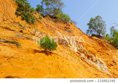Vivid Orange Cliffs and Sparse Vegetation at Ham Tien Canyon, a Unique Landscape in Vietnam 128802248