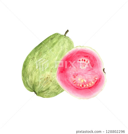 Whole green guava fruit with pink slice. Hand painted textured watercolor composition isolated on white. Perfect for summer cards, label, eco-friendly packaging, kitchen decor, tropical fruit branding Whole green guava fruit with pink slice. Hand painted textured watercolor composition isolated on white. Perfect for summer cards, label, eco-friendly packaging, kitchen decor, tropical fruit branding 128802296