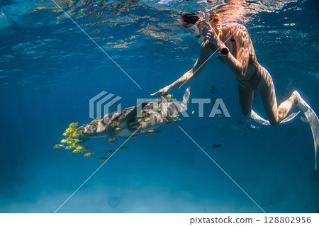 Underwater shot of woman snorkeling and interacting with a nurse shark, surrounded by tropical fish in salty water 128802956