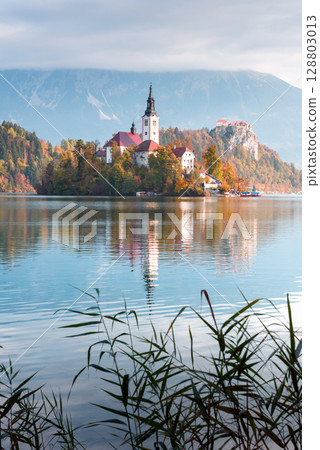 Bled lake in fall surrounded by Julian Alps and colorful trees 128803013