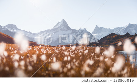 Clear weather at Bachalpsee reveals stunning Swiss peaks 128803019