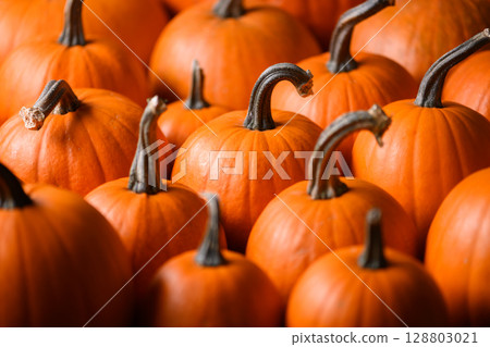 Close up of pumpkins in dense orange pattern for seasonal display Close up of pumpkins in dense orange pattern for seasonal display 128803021