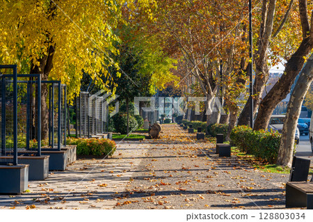 The beautiful landscape of autumn Tbilisi. Recreational park 128803034
