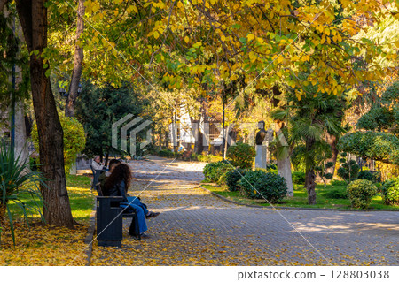 Public park in Tbilisi during autumn. Beautiful autumn landscape 128803038