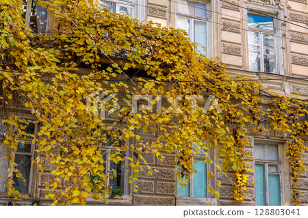 Old Tbilisi with its characteristic ornate balconies. Colorful autumn in Tbilisi 128803041