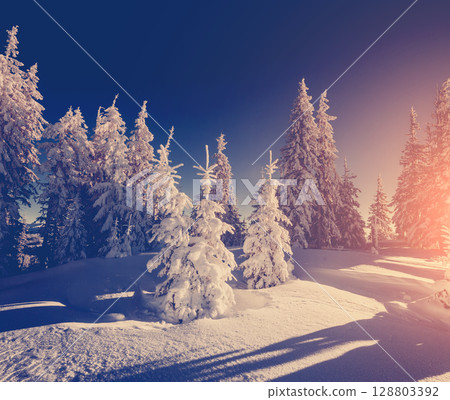 Majestic winter landscape Majestic winter landscape 128803392