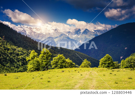 views of the alpine meadows views of the alpine meadows 128803446