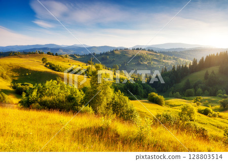 Summer landscape in mountains 128803514