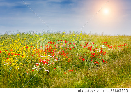 Beautiful countryside landscape Beautiful countryside landscape 128803533