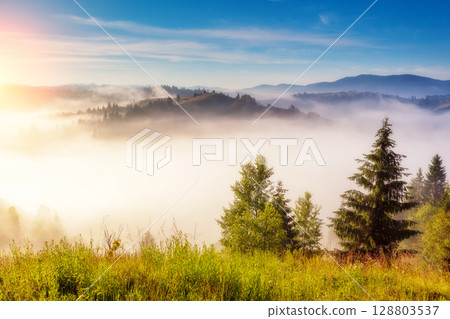 magical green hills 128803537