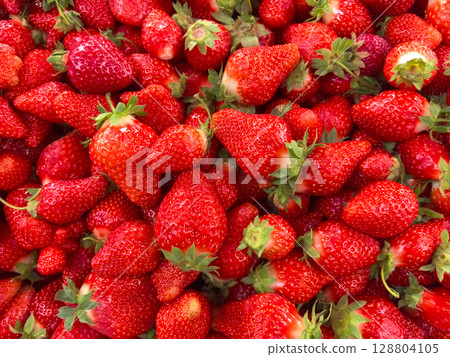Fresh and vibrant strawberries ready for summer celebrations and desserts 128804105