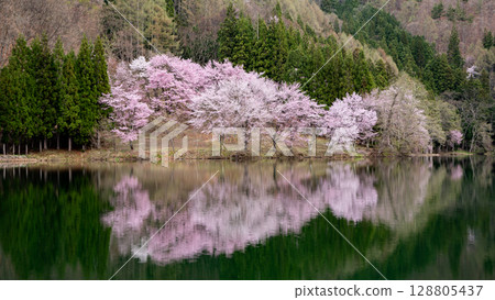 Lake Nakatsuna, Ooyamazakura, Omachi City, Nagano Prefecture Lake Nakatsuna, Ooyamazakura, Omachi City, Nagano Prefecture 128805437