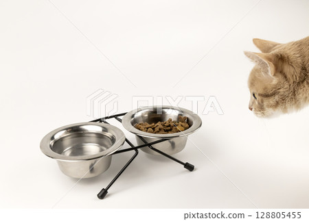 The red cat approaches the metal bowls of dry cat food and water. The concept of food for animals. 128805455