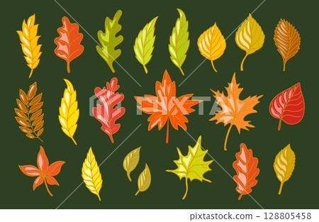 Set of different autumn leaves isolated hand drawn 128805458
