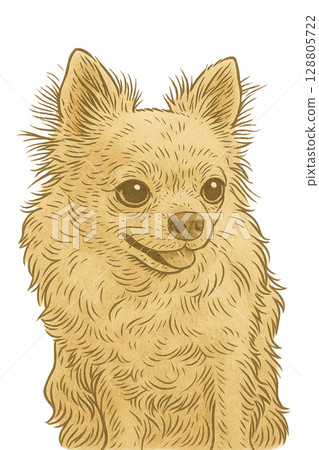 奇瓦瓦 奇瓦瓦 128805722