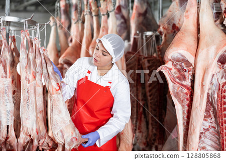 Female slaughterhouse worker inspecting lamb carcass in meat storage 128805868