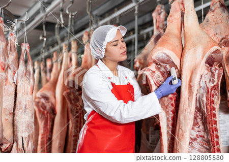 Female slaughterhouse worker using food thermometer to measure temperature of pig carcass 128805880