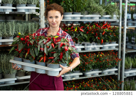 Woman seller examines seedlings of red pepper, before sending them to customer 128805881
