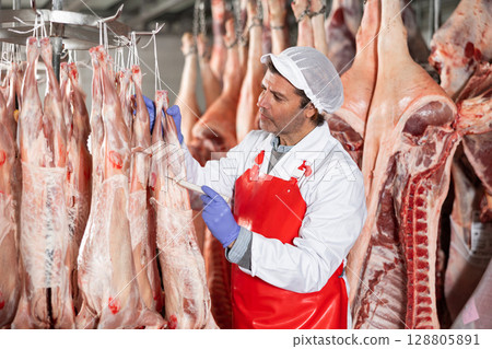Butcher measuring temperature of lamb carcasses hanging in cold storage Butcher measuring temperature of lamb carcasses hanging in cold storage 128805891