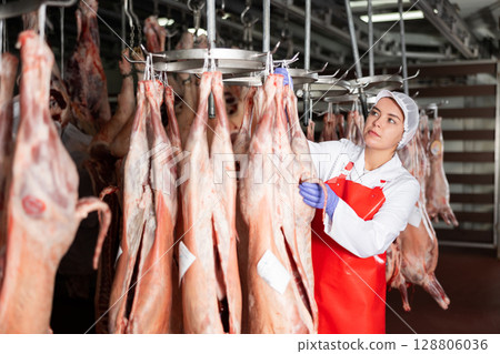 Female slaughterhouse worker inspecting mutton carcass in meat storage 128806036