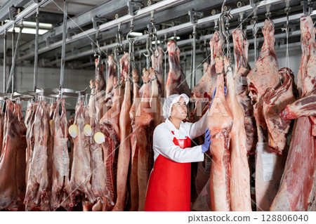 Female slaughterhouse worker looking at pig carcass in meat storage Female slaughterhouse worker looking at pig carcass in meat storage 128806040