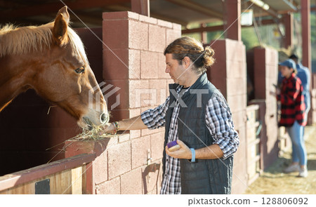 Middle-aged horseman feeding brown horse with hay in stable Middle-aged horseman feeding brown horse with hay in stable 128806092