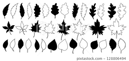 Big set of black silhouettes and outlines of various vector fall foliage arranged in a row of maple leaves in hand drawn style.  128806494