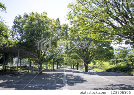 綜合運動公園入口廣場中央廣場[神奈川縣伊勢原市] 128806506