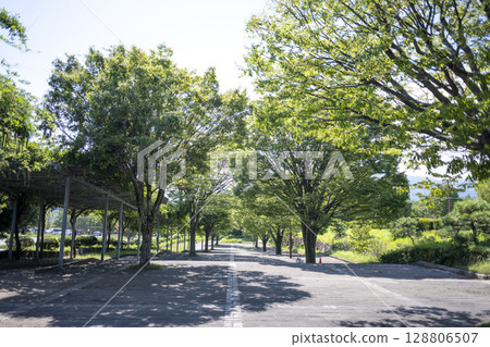 General Athletic Park Entrance Square Central Square [Isehara City, Kanagawa Prefecture] 128806507