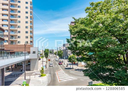 Natori Station East Exit Rotary Symbol Tree Pedestrian Bridge East-West Free Passage Natori City Library Masuda Community Center 128806585