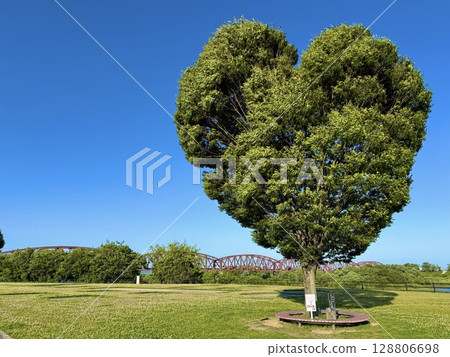 Heart type tree 128806698
