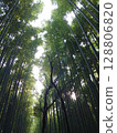 Looking up at the bamboo forest of Kyoto 128806820