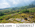 Rice terraces covering the mountainside in Pu Luong, Vietnam 128806917