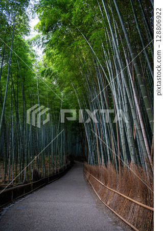Winding path through lush green bamboo forest in Arashiyama, Kyoto, Japan 128806922
